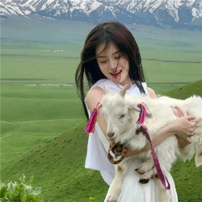 笼中格斗王第一季